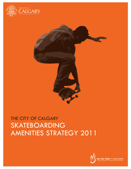 Skateboarding Amenities Strategy 2011