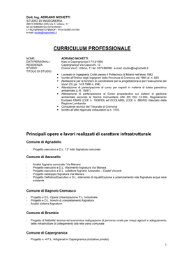 Curriculum Professionale