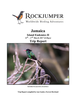 Jamaica Island Endemics II 12Th – 17Th March 2017 (6 Days) Trip Report