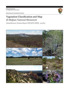 Vegetation Classification and Map El Malpais National Monument
