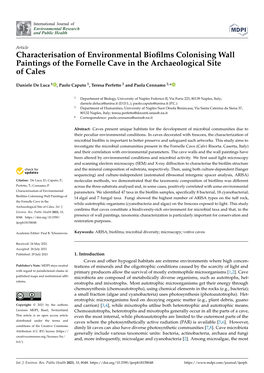 Characterisation of Environmental Biofilms Colonising Wall Paintings