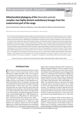 Mitochondrial Phylogeny of the &lt;I&gt;Darevskia Saxicola&lt;/I&gt;