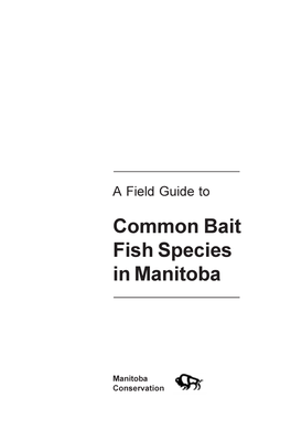 A Field Guide to Common Bait Fish Species in Manitoba