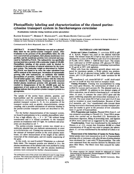 Cytosine Transport System in Saccharomyces Cerevisiae (8-Azidoadenine/Molecular Cloning/Membrane Protein/Glycosylation) RAINER SCHMIDT*T, MORRIS F