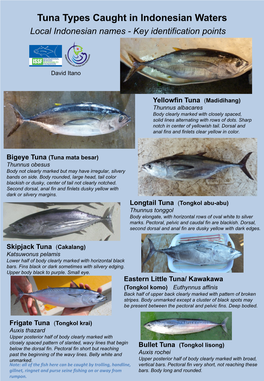 Indonesian Tuna Species ID Flyer Indonesian Version Final