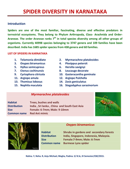 Spider Diversity in Karnataka