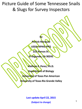 Picture Guide of Some Tennessee Snails & Slugs for Survey Inspectors