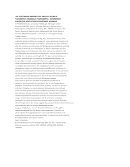 The Postcranial Morphology and Phylogeny of Taeniodonts (Mammalia: Taeniodonta); Determining Locomotor Adaptations in Paleogene