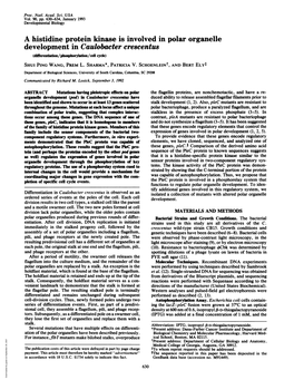 Development in Caulobacter Crescentus (Dlfferentiation/Phosphorylation/Cell Cyde) SHUI PING WANG, PREM L