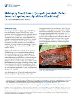 Mahogany Shoot Borer, Hypsipyla Grandella (Zeller) (Insecta: Lepidoptera: Pyralidae: Phycitinae)1 F