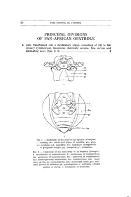 PRINCIPAL DIVISIONS of PAN -AFRICAN Opatrinle