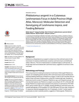 Phlebotomus Sergenti in a Cutaneous Leishmaniasis