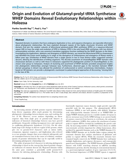 Origin and Evolution of Glutamyl-Prolyl Trna Synthetase WHEP Domains Reveal Evolutionary Relationships Within Holozoa