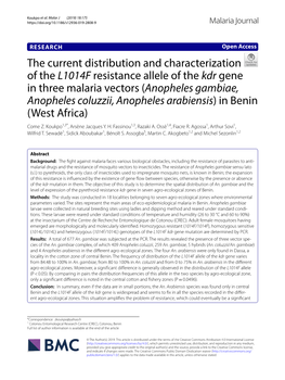 Anopheles Gambiae, Anopheles Coluzzii, Anopheles Arabiensis) in Benin (West Africa) Come Z