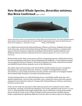 New Beaked Whale Species, Berardius Minimus, Has Been Confirmed Sept