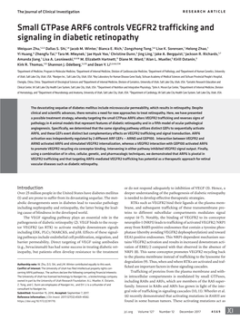 Small Gtpase ARF6 Controls VEGFR2 Trafficking and Signaling in Diabetic Retinopathy