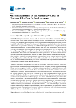 Mucosal Hallmarks in the Alimentary Canal of Northern Pike Esox Lucius (Linnaeus)