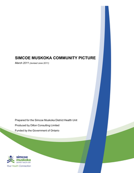 Community Picture Report Executive Summary
