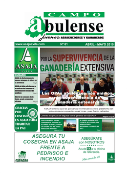 Campo Abulense Nº61