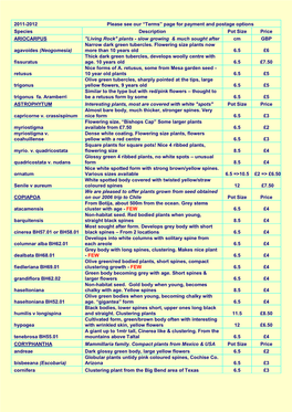 2011 Plant List