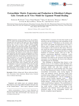 Extracellular Matrix Expression and Production in Fibroblast-Collagen Gels: Towards an in Vitro Model for Ligament Wound Healing