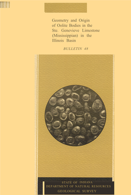 Geometry and Origin of Oolite Bodies in the Ste