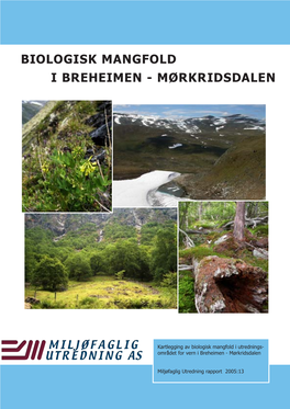 Biologisk Mangfold I Breheimen - Mørkridsdalen