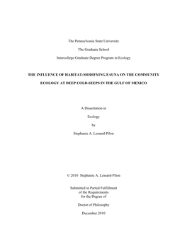 Open SLP Final Dissertation.Pdf