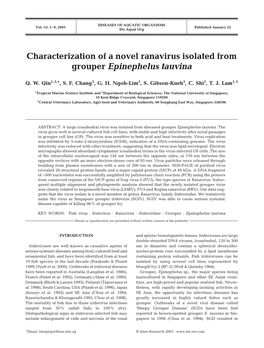 Characterization of a Novel Ranavirus Isolated from Grouper Epinephelus Tauvina