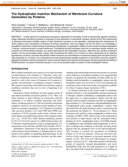 The Hydrophobic Insertion Mechanism of Membrane Curvature Generation by Proteins