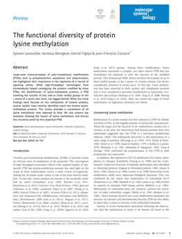 The Functional Diversity of Protein Lysine Methylation