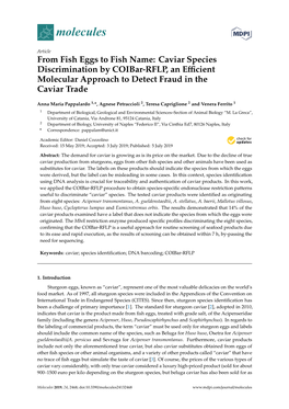 From Fish Eggs to Fish Name: Caviar Species Discrimination by Coibar-RFLP, an Eﬃcient Molecular Approach to Detect Fraud in the Caviar Trade