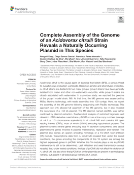 Complete Assembly of the Genome of an Acidovorax Citrulli Strain Reveals a Naturally Occurring Plasmid in This Species