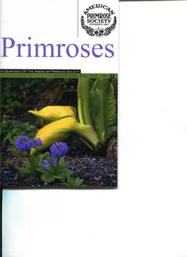 The American Primrose Society