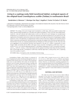 Living in a Caatinga-Rocky Field Transitional Habitat: Ecological Aspects of the Whiptail Lizard Cnemidophorus Ocellifer (Teiidae) in Northeastern Brazil