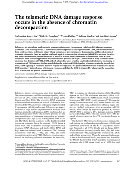 The Telomeric DNA Damage Response Occurs in the Absence of Chromatin Decompaction