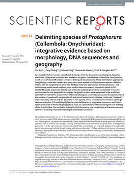 Delimiting Species of Protaphorura (Collembola: Onychiuridae)