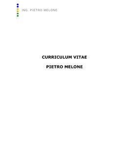 CURRICULUM MELONE SD.Pdf