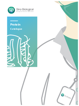 Protein Catalogue Sinobiological Inc