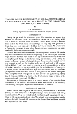 Complete Larval Development of the Palaemonid Shrimp Macrobrachium Carcinus (L.), Reared in the Laboratory (Decapoda, Palaemonidae) by P