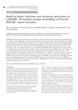 3D Models Predict Misfolding of Notch3 EGF-Like Repeat Domains