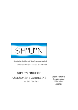 N Project Assessment Guideline