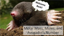 Molar Mass, Moles, and Avogadro's Number