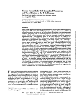 Human Natural Killer Cell Committed Thymocytes and Their Relation to the T Cell Lineage by Maria Jose Sanchez, Hergen Spits, Lewis L