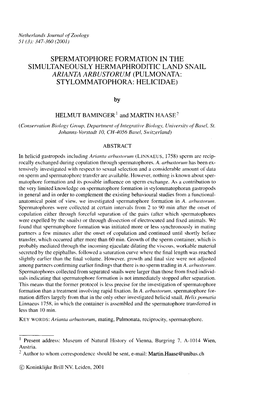 Spermatophore Formation in the Simultaneously Hermaphroditic Land Snail Arianta Arbustorum (Pulmonata: Stylommatophora: Helicidae)