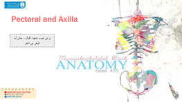 8-Pectoral and Axilla.Pdf