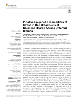 Putative Epigenetic Biomarkers of Stress in Red Blood Cells Of