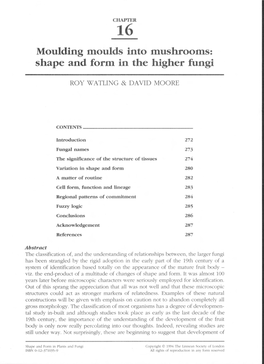 Shape and Form in the Higher Fungi