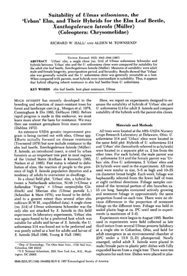 Suitability of Ulmus Wilsoniana~ the 'Urban' Elm~ and Their Hybrids for the Elm Leaf Beetle~ Xanthogaleruca Luteola (Muller) (Coleoptera: Chrysomelidae)