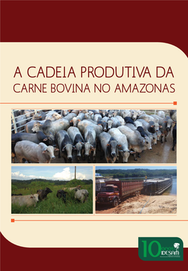 A Cadeia Produtiva Da Carne Bovina No Amazonas